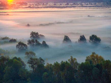 Лучшее время года для речного круиза