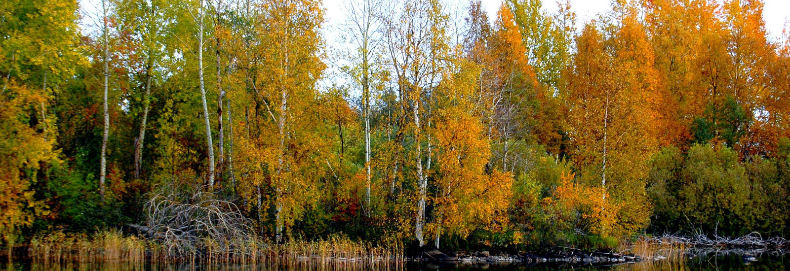 Продление навигации 2024 года